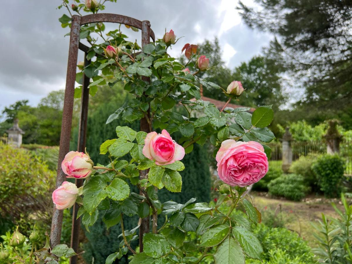 Le Loriot Bed & Breakfast Champagne-et-Fontaine Luaran gambar